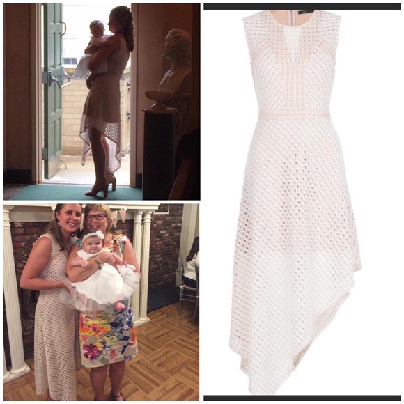 BCBG MaxAzria Tracie Blush Asymmetrical Dress - Picture 8 of 8